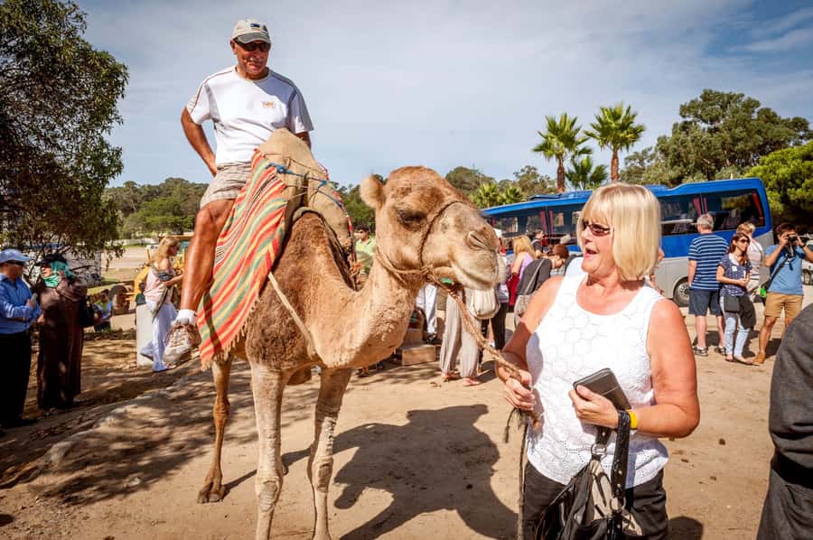 From Costa del Sol: Tangier Full-Day Tour by Ferry - Key things that make this tour work