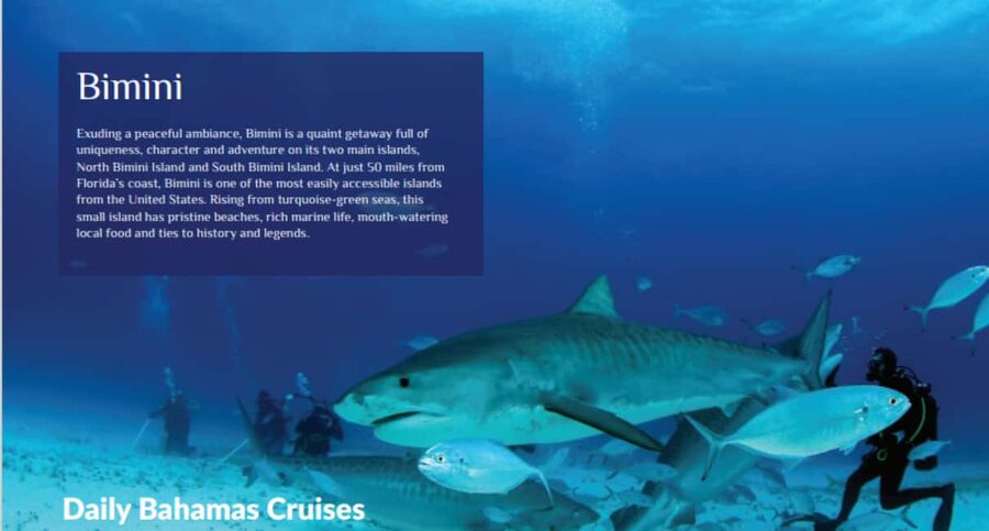 From Fort Lauderdale: Bimini Island Day Trip by Ferry - Getting in and out smoothly: passport, immigration, and special entry notes