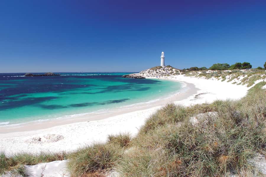 From Fremantle: Rottnest Island Ferry and Bike Day Tour - Where the Quokkas and Settlements Fit Into Your Day