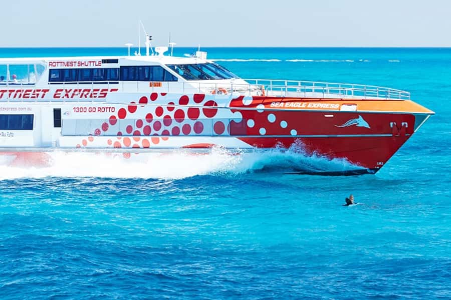 From Fremantle: Rottnest Island Ferry & Bus Day Tour - Key things to know before you go