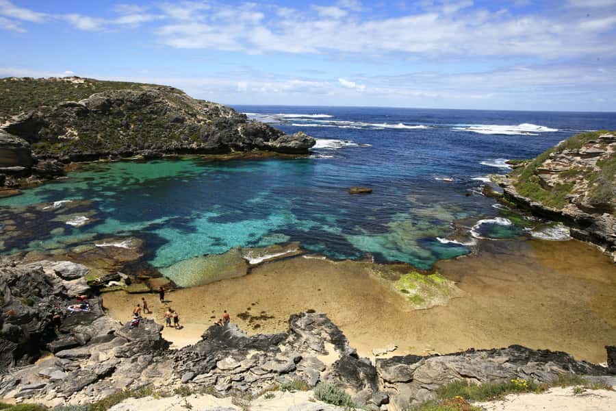 From Fremantle: Rottnest Island Ferry & Bus Day Tour - Why the Fremantle ferry + 90-minute bus combo works
