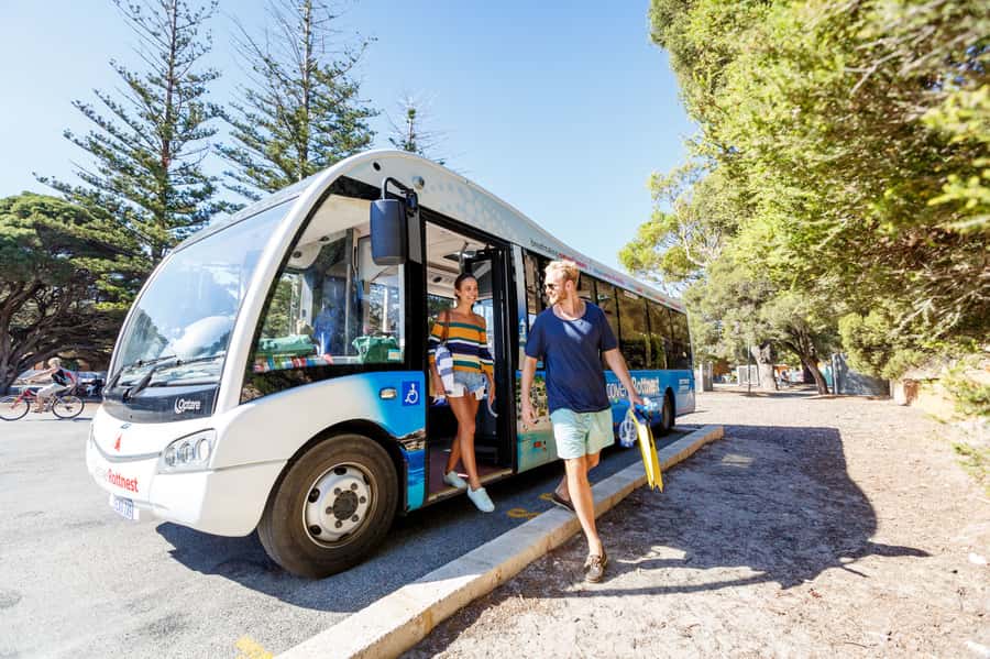 From Fremantle: Rottnest Island Ferry & Bus Day Tour - The 90-minute Discovery Coach Tour: air-conditioned island highlights