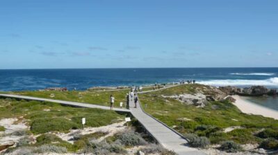 From Fremantle: Rottnest Island Ferry & Bus Day Tour - Getting to Rottnest Island: the Rottnest Express ferry from Fremantle