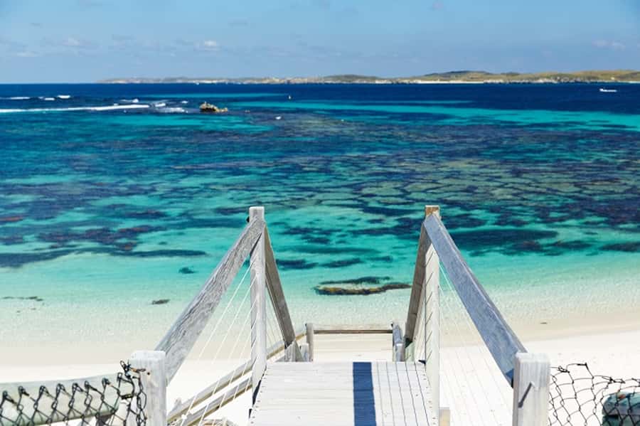 From Fremantle: Rottnest Island Ferry & Bus Day Tour - Lunch options on Rottnest: budget smart, then relax