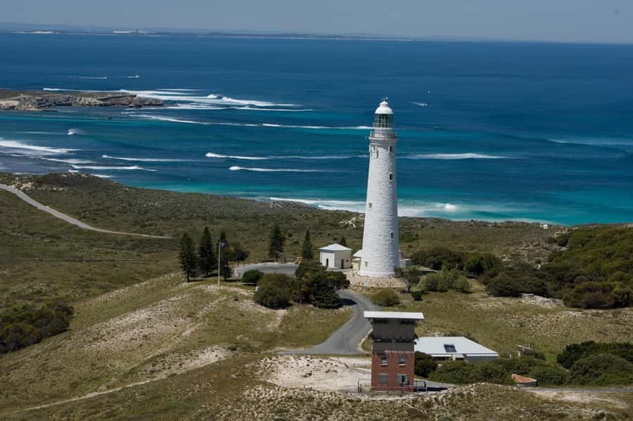 From Fremantle: Rottnest Island Ferry & Bus Day Tour - Who should book this Rottnest Island ferry + bus day tour