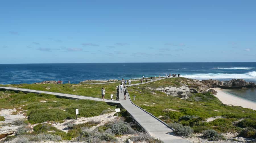 From Fremantle: Rottnest Island Ferry & Bus Day Tour - Getting to Rottnest Island: the Rottnest Express ferry from Fremantle