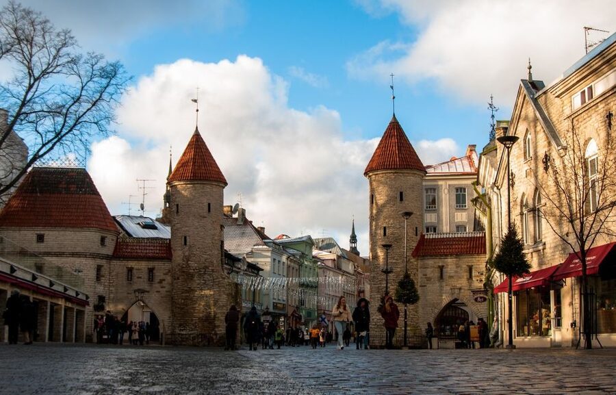 From Helsinki: Luxury Trip to Tallinn Ferry +VIP Car - Kadriorg Park Stop: A Quick, Refreshing Reset