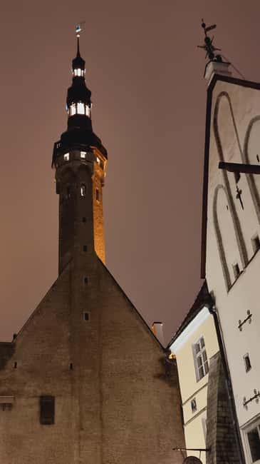 From Helsinki: Luxury Trip to Tallinn Ferry +VIP Car - Who This Tallinn Day Trip Suits Best