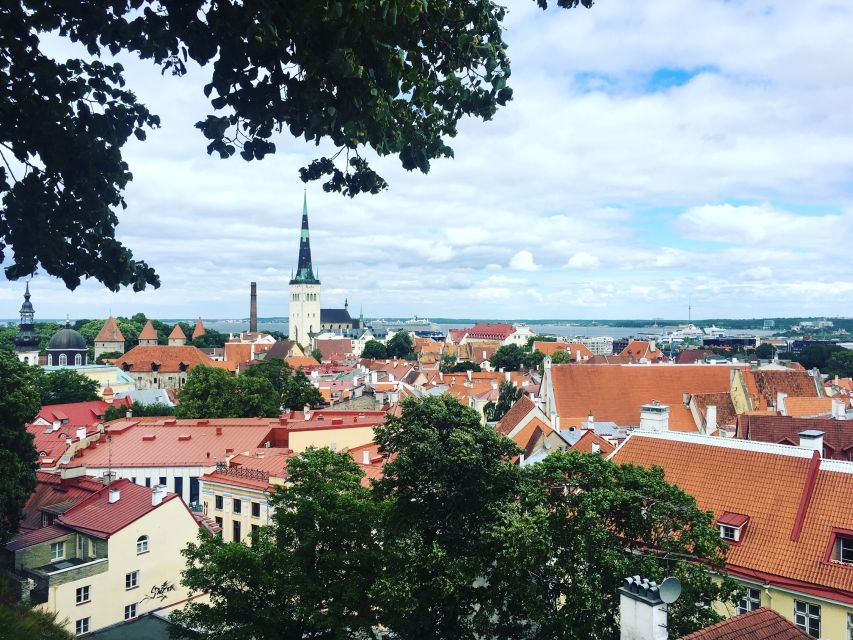 From Helsinki: Tallinn with Round-Trip Ferry & Guided Tour - Price and What You Get for $200 Per Person
