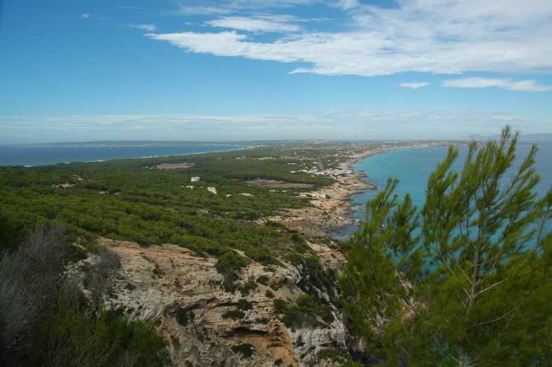 From Ibiza: Ferry and Guided Bus Excursion in Formentera - Your guide experience: what I think you should expect