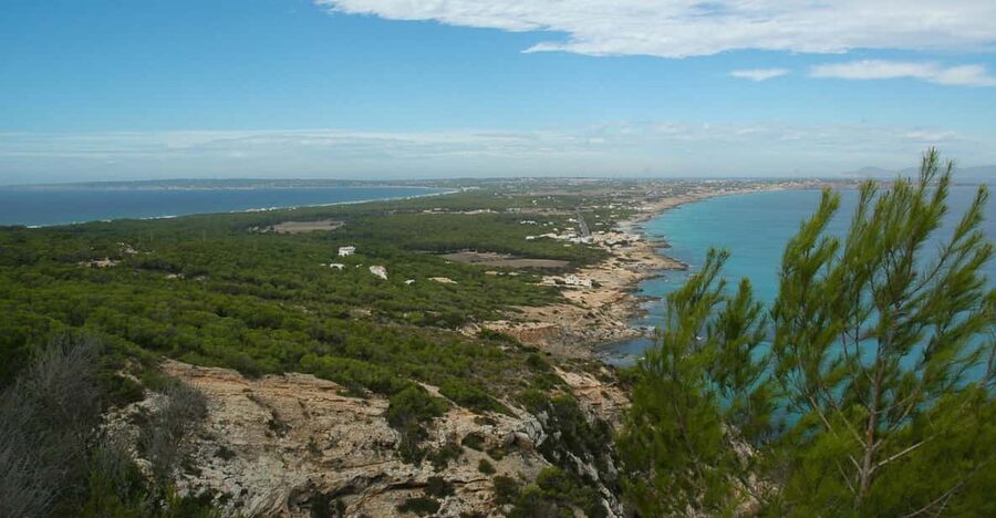 From Ibiza: Ferry and Guided Bus Excursion in Formentera - Why this Ibiza-to-Formentera day trip works (even if it’s not “quiet”)