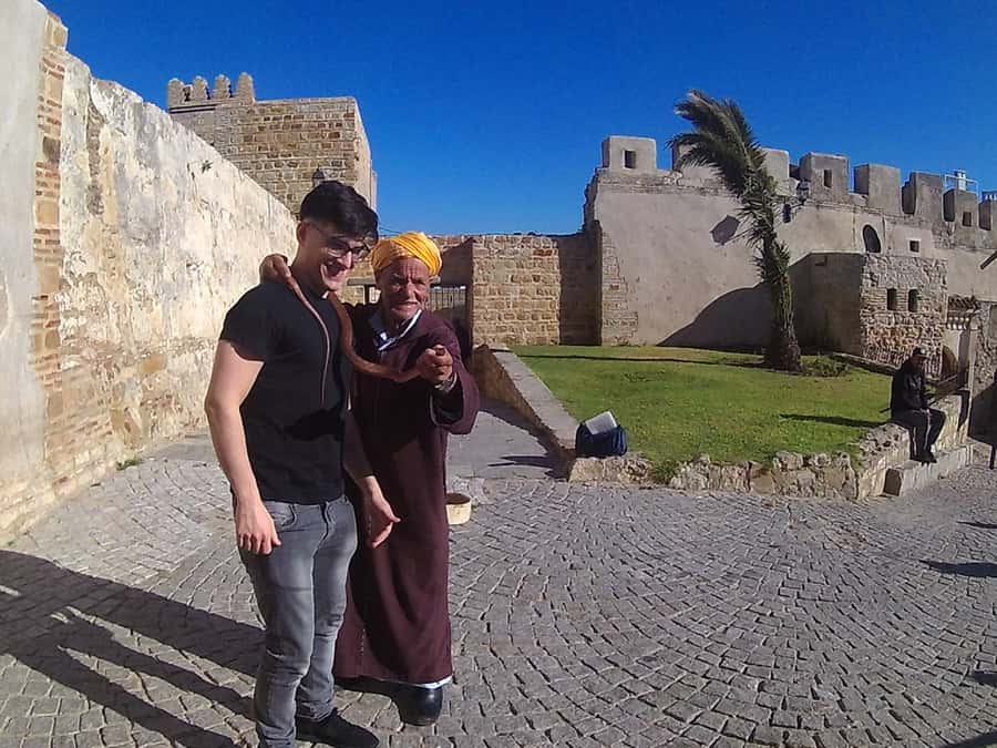 From Jerez: Day Trip to Tangier with Ferry & Lunch - Price and value: does $177 make sense for this day?