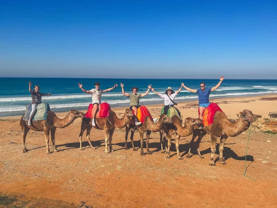 From Malaga: Tangier Day Trip with Ferry, Camel & Souks - Key things I’d mark on your map