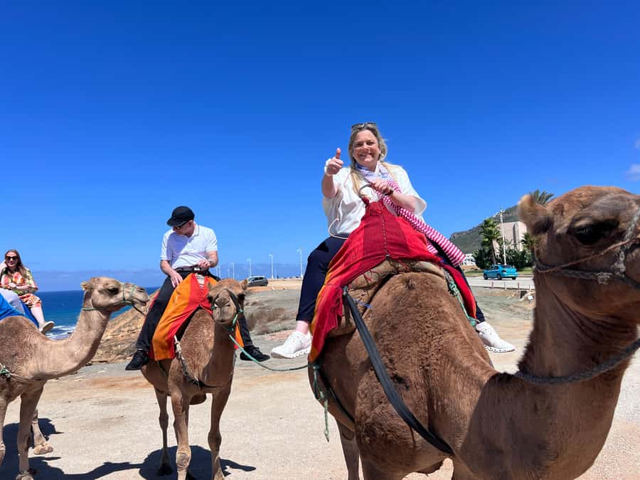 From Malaga: Tangier Day Trip with Ferry, Camel & Souks - Camel ride along the Atlantic: the one hands-on moment