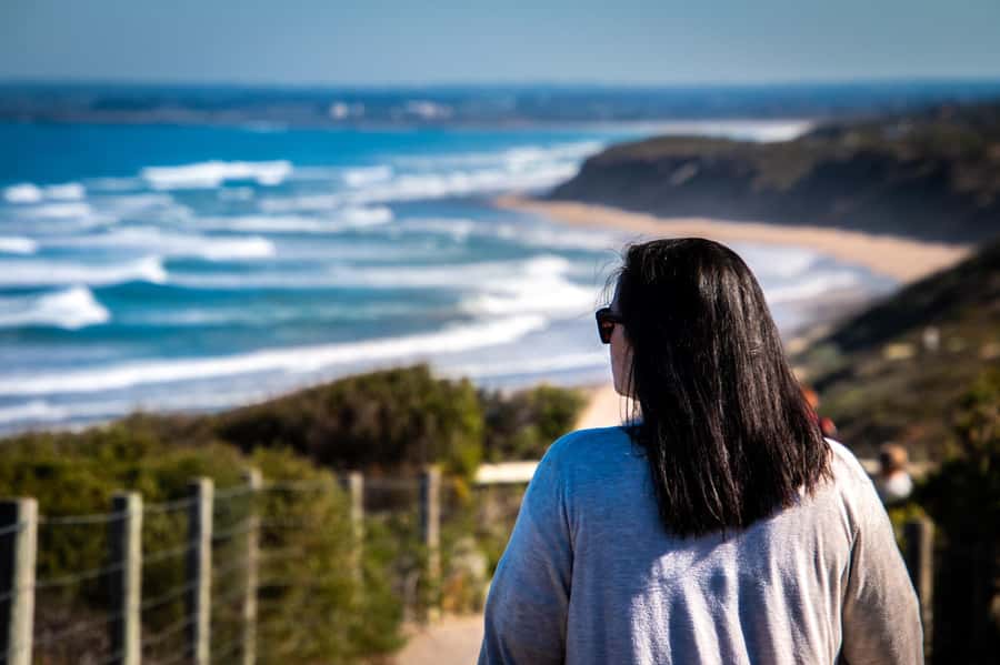 From Melbourne: Bay Sightseeing and Ferry Ride with Lunch - Strawberry picking at Rocky Creek (only Nov–Apr)