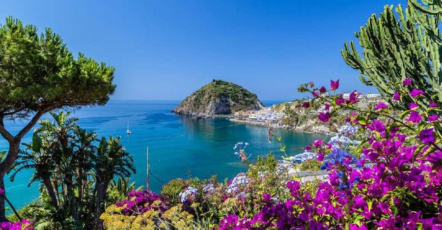From Naples: Ischia Day Trip with Ferry Tickets and Lunch - The 8:00 AM Start at Molo Beverello (and How to Find Your Group)