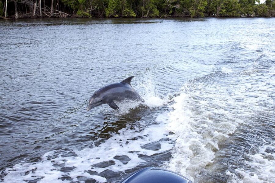 From Panama City, FL: Shell Island Ferry - Getting to a 700-acre barrier island without the crowds vibe