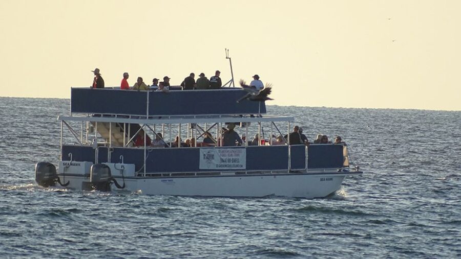 From Panama City, FL: Shell Island Ferry - Price and value: why $28 feels reasonable for this kind of break
