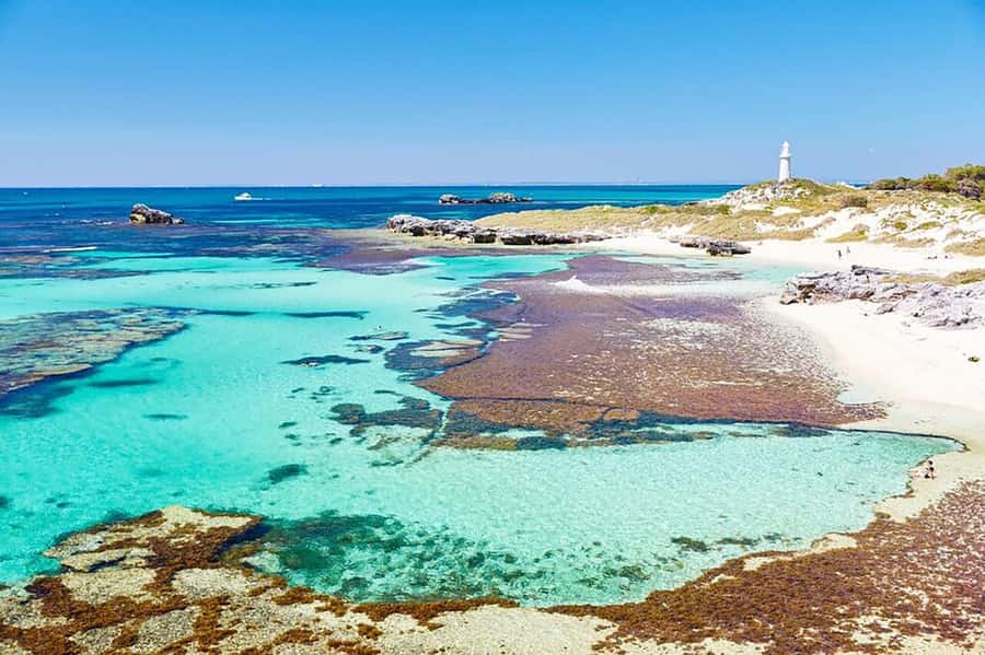 From Perth or Fremantle: Rottnest Island Ferry and Bus Tour - Getting to Rottnest: Perth or Fremantle, both make sense