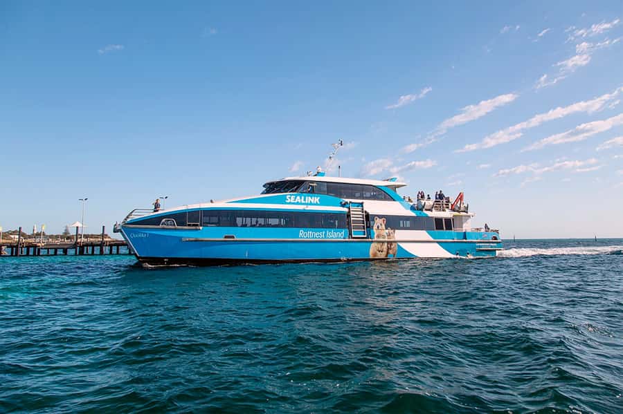 From Perth or Fremantle: Rottnest Island Ferry and Bus Tour - Should you book this Rottnest Island Ferry and Bus Tour?