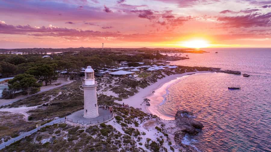 From Perth: Rottnest Island Ferry & Bus Day Tour - Key takeaways before you go