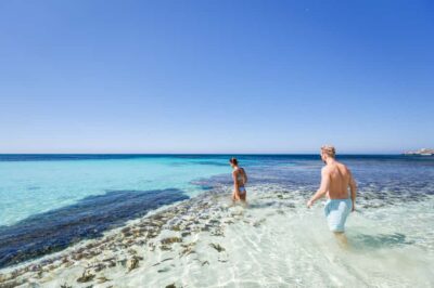 From Perth: Rottnest Island Ferry & Bus Day Tour - Thomson Bay meeting point and the 90-minute coach loop you actually need