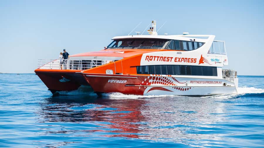 From Perth: Rottnest Island Ferry & Bus Day Tour - Price and value: what you’re paying for at $135 per person