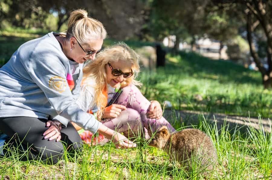 From Perth: Rottnest Island Full-Day Bike and Ferry Trip - Key highlights you’ll care about