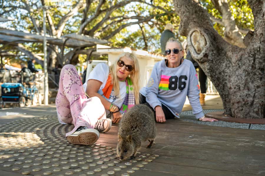 From Perth: Rottnest Island Full-Day Bike and Ferry Trip - Beaches, swims, and snorkelling: choosing water time that fits your pace