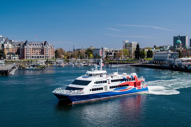 From Seattle: Round Trip by High Speed Ferry to Victoria, BC - Seats, Tables, Cafe, and Duty-Free: Comfort That Doesn’t Require Extra Planning