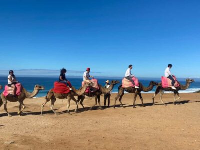 From Seville: 2, 3, or 4-Day Morocco Trip with Ferry & Guide - Tangier With a Local Guide: Kasbah, Medina, Souks, and Hercules Caves