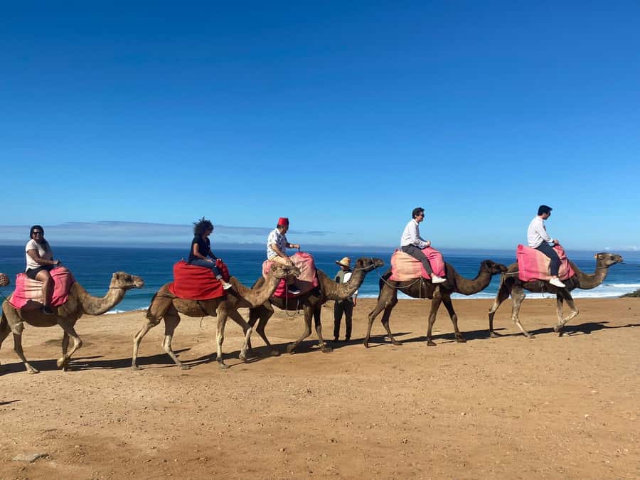 From Seville: 2, 3, or 4-Day Morocco Trip with Ferry & Guide - Tangier With a Local Guide: Kasbah, Medina, Souks, and Hercules Caves