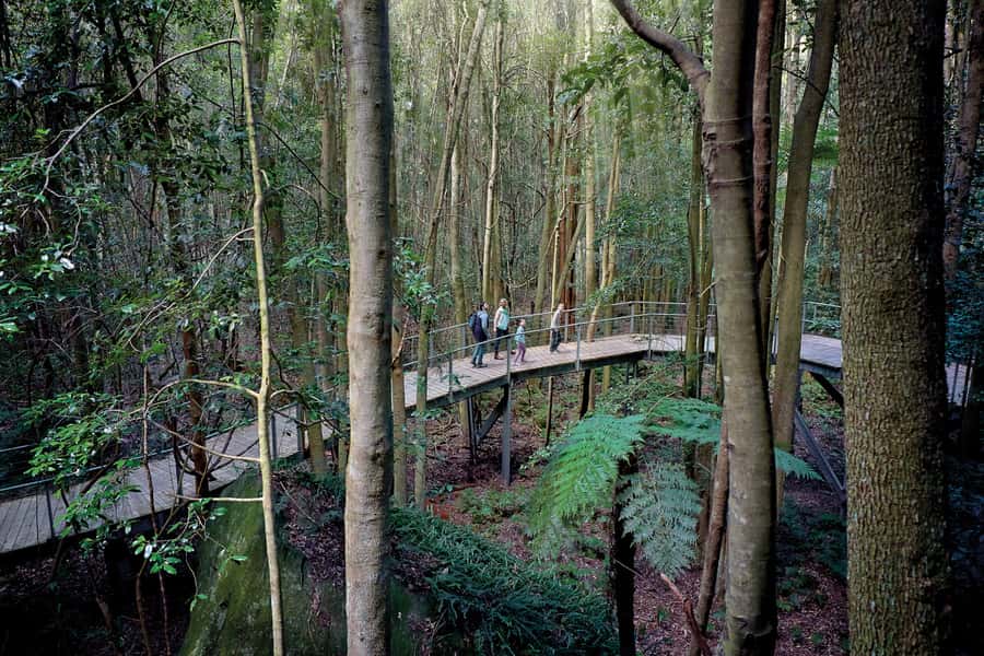 From Sydney: Blue Mountains, Scenic World, Zoo, & Ferry Ride - Scenic World: Skyway, Railway, Cableway, and a rainforest walk