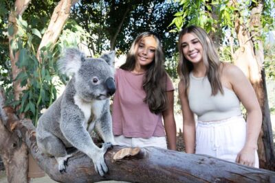 From Sydney: Blue Mountains, Scenic World, Zoo, & Ferry Ride - Getting oriented at Echo Point and the Three Sisters