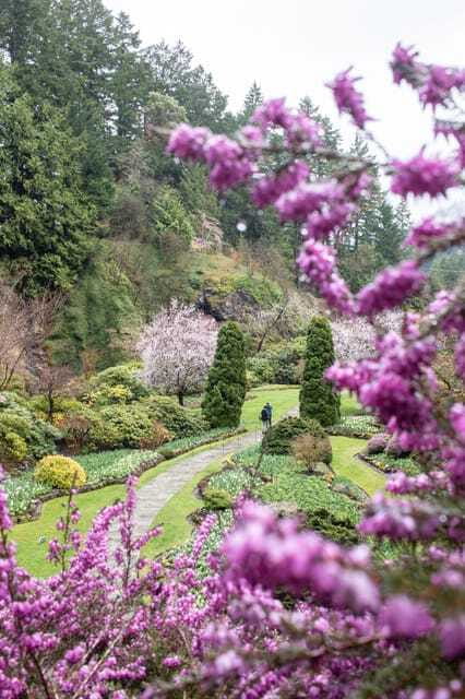 From Vancouver: Victoria, BC Ferry, Butchart Gardens Tour - Language and Guide Service: Easy Communication on a Tight Schedule