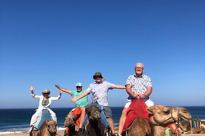 Full day Tangier Tour from Cruise or ferry from tarifa - Mendoubia Garden: history, WWII facts, and a breather