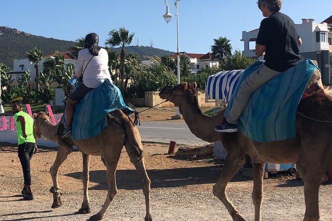 Full day Tangier Tour from Cruise or ferry from tarifa - Kasbah of Tangier: fortress streets and what you’re really looking at