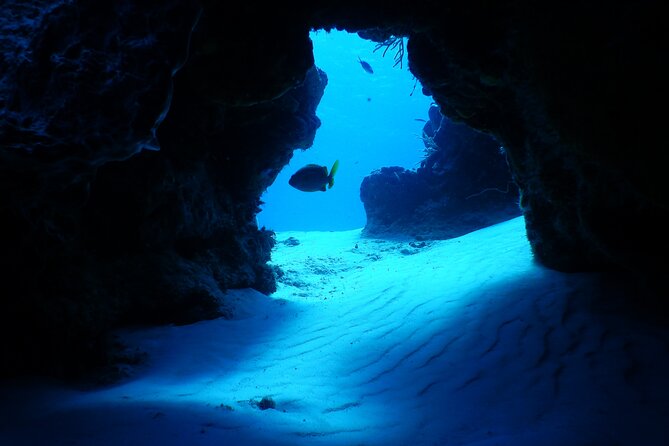 FunDiving in Cozumel - By Ferry - 2 Tanks in the wonderful Caribbean sea - Briefings, safety, and gear: make the day feel professional