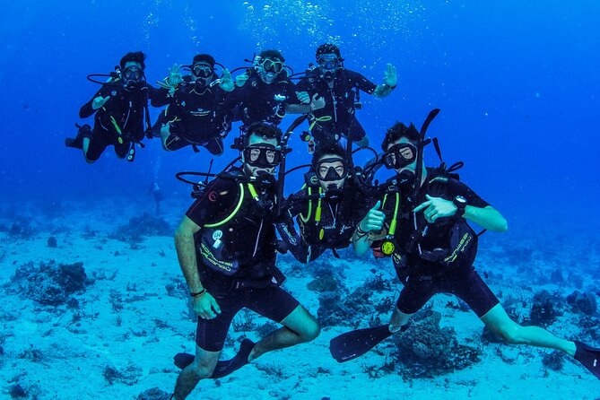 FunDiving in Cozumel - By Ferry - 2 Tanks in the wonderful Caribbean sea - Who this suits best (and who should rethink)