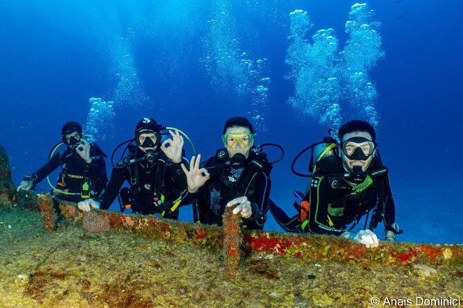 FunDiving in Cozumel - By Ferry - 2 Tanks in the wonderful Caribbean sea - Ferry crossing and the big-boat setup that helps the day run on time