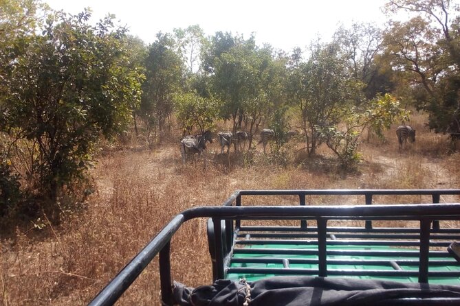 Gambia to Senegal Tour with Ferry Crossing and Safari Park - Key points I’d plan around