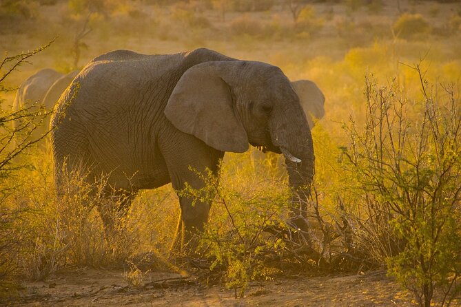 Gambia to Senegal Tour with Ferry Crossing and Safari Park - Fathala Wildlife Reserve and the Senegal Safari Park: your main wildlife block