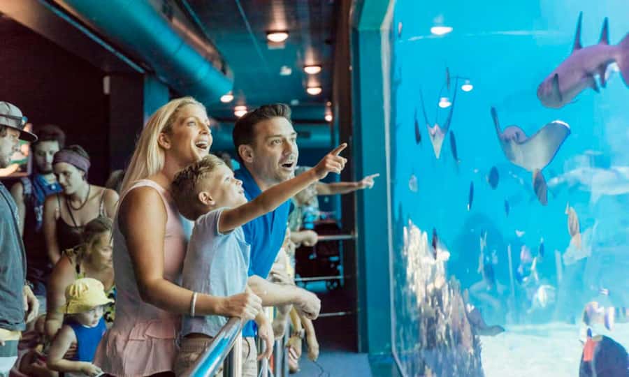 Gold Coast: Sea World Cruise & Entry Combo Ticket - Key highlights at a glance