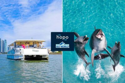 Gold Coast: Sea World Cruise & Entry Combo Ticket - Getting started at the HOPO Ferry Kiosk (Appel Park)