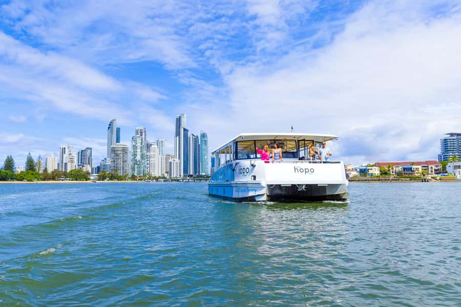 Gold Coast: Sea World Cruise & Entry Combo Ticket - Sea World Gold Coast: marine encounters and live shows