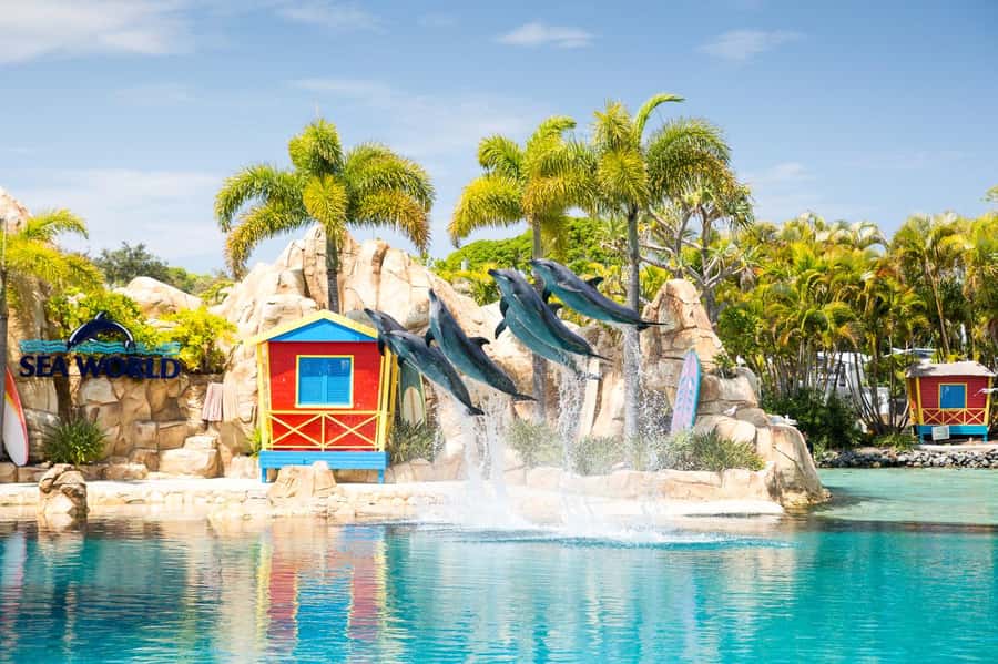 Gold Coast: Sea World Cruise & Entry Combo Ticket - Timing your day: how to fit 7 hours at Sea World