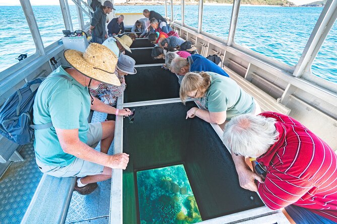 Great Keppel Island Glass Bottom Boat Tour & Ferry Transfer - Key Highlights You’ll Feel Fast