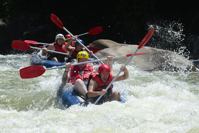 Great Keppel Island Glass Bottom Boat Tour & Ferry Transfer - Price Check: Is $66.44 Good Value?