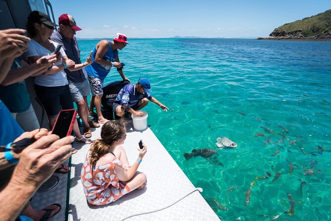 Great Keppel Island Glass Bottom Boat Tour & Ferry Transfer - The Reef Hour: Glass-Bottom Boat With Marine Experts