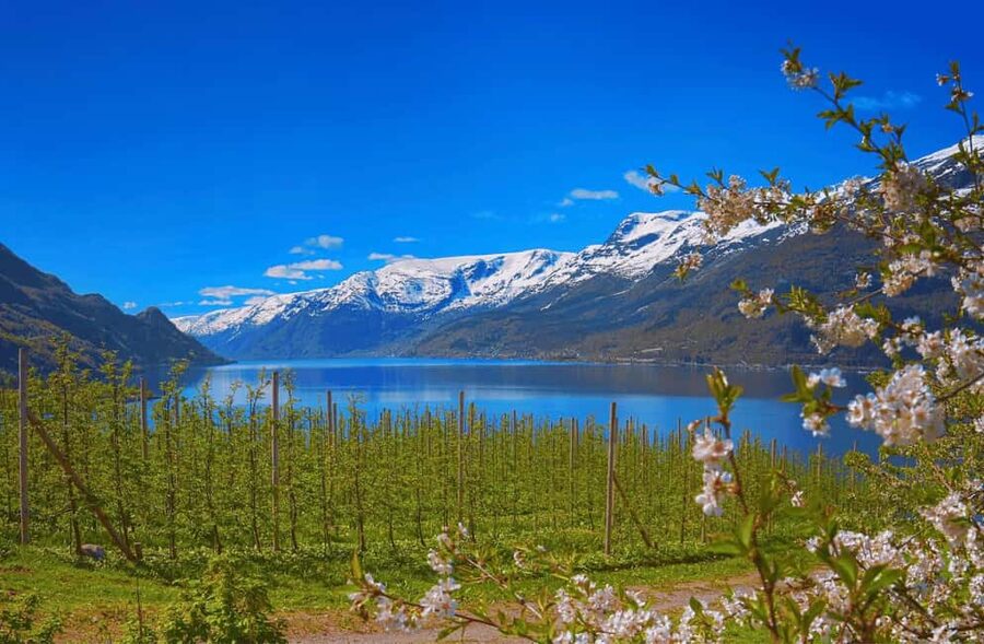 Guided tour: Hardangerfjord, Waterfalls and Ferry crossing - Fossen Bratte’s 79-meter one-drop moment